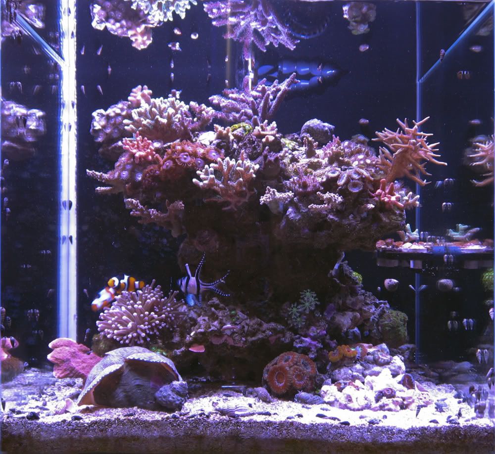 FTS0220120917.jpg