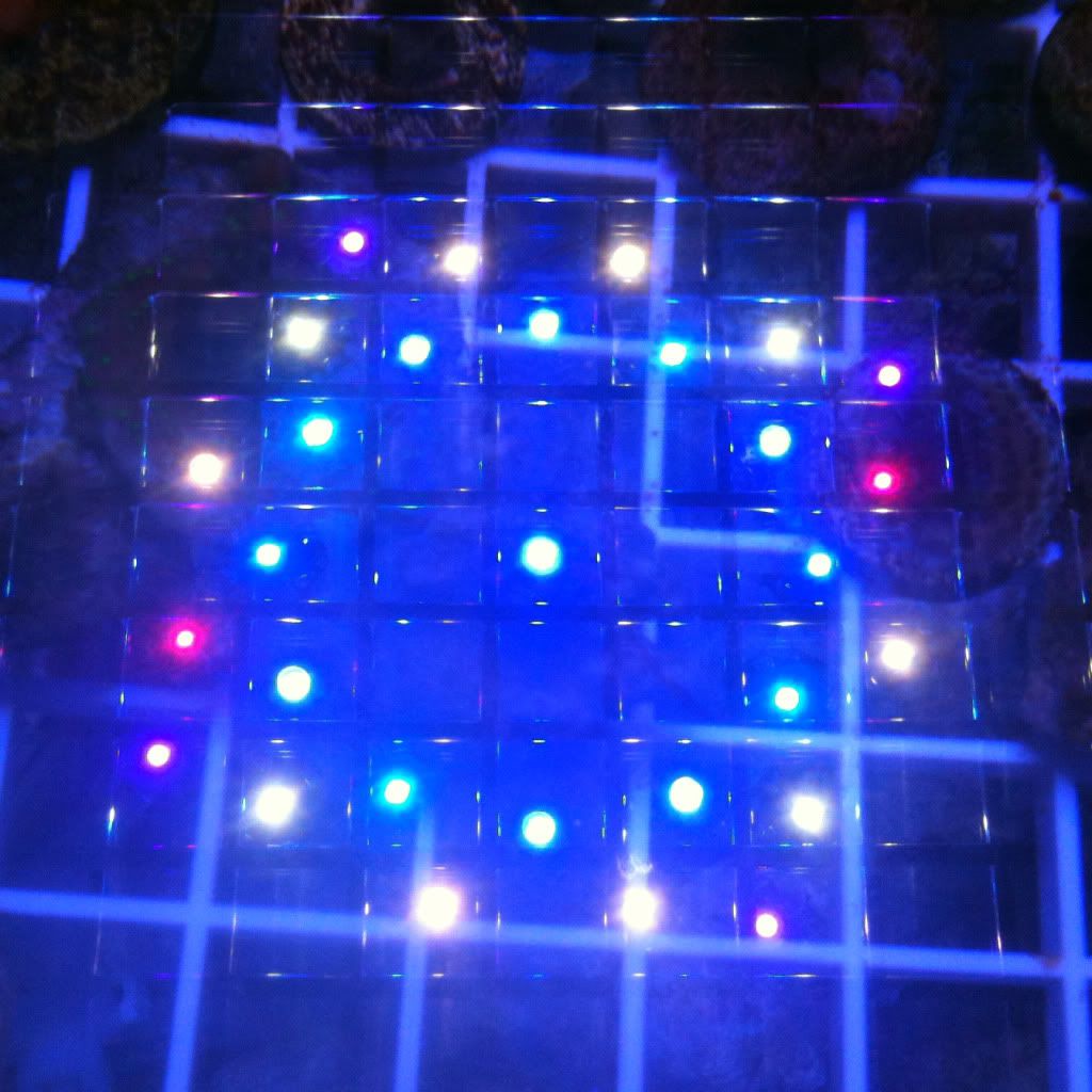 LEDreflection20111127 - Mr. Microscope's Roughneck Frag Tub