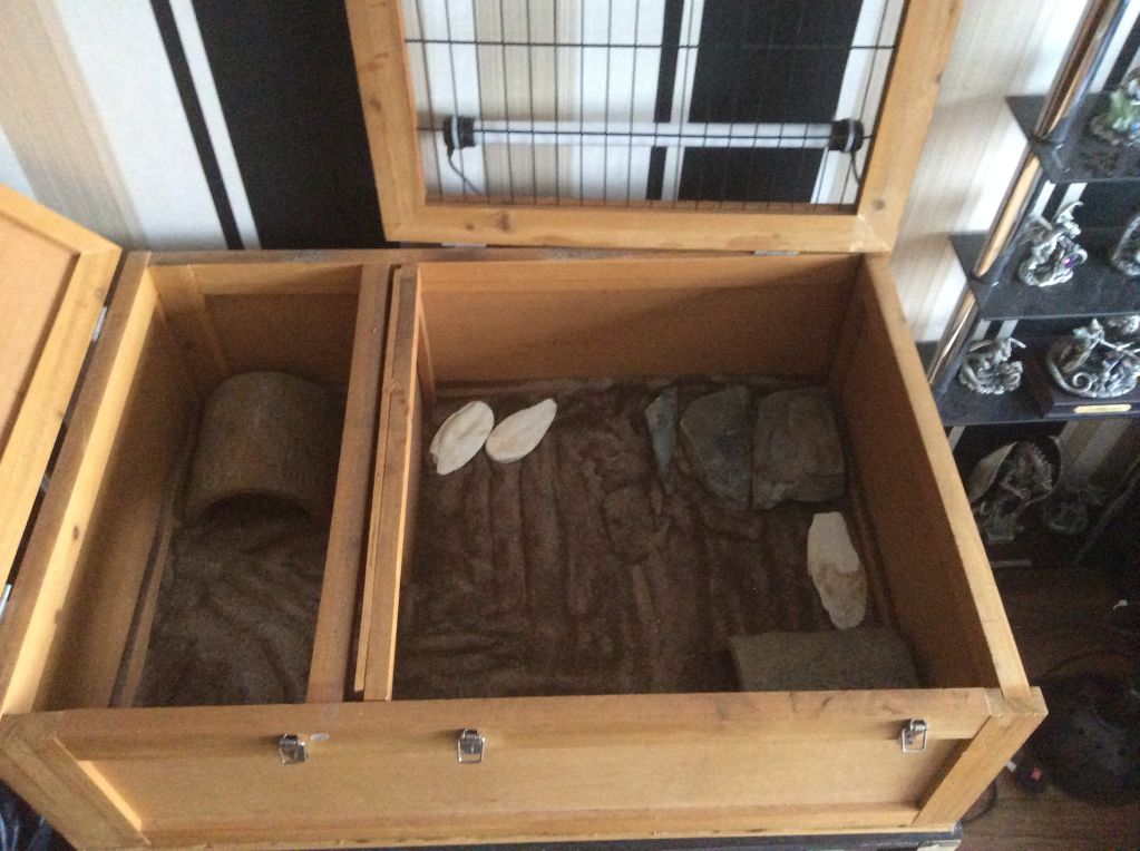 W Midlands Horsefield tortoise with setup. Reptile Forums