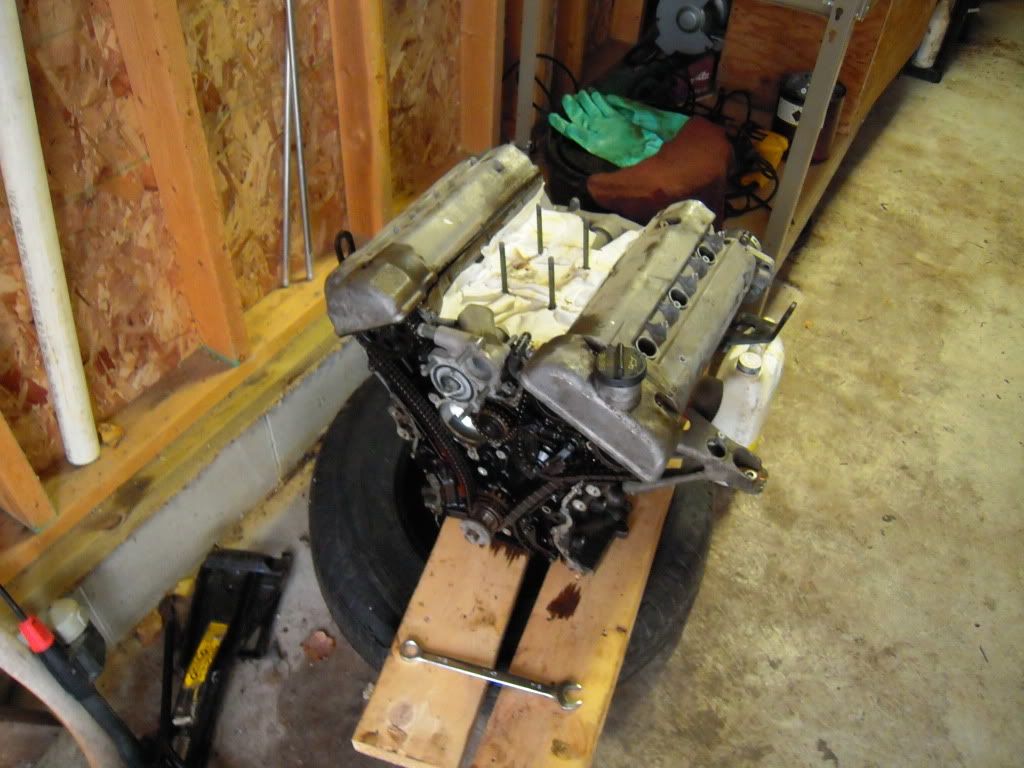 Pics and questions | Suzuki Forums