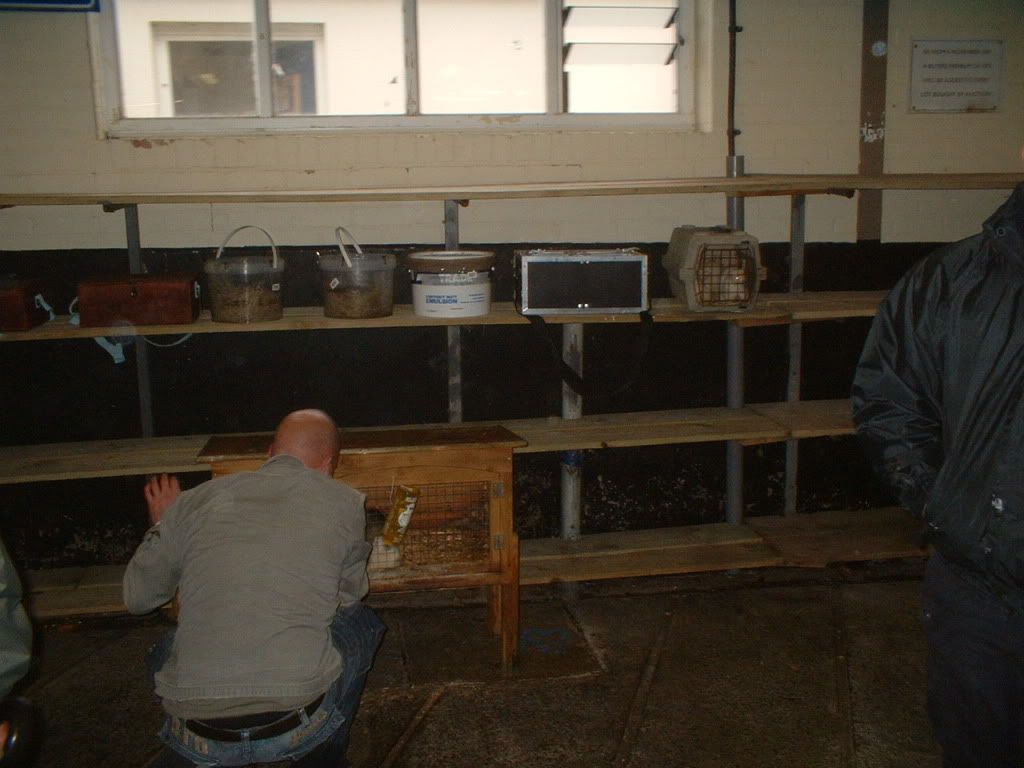 Picture063.jpg