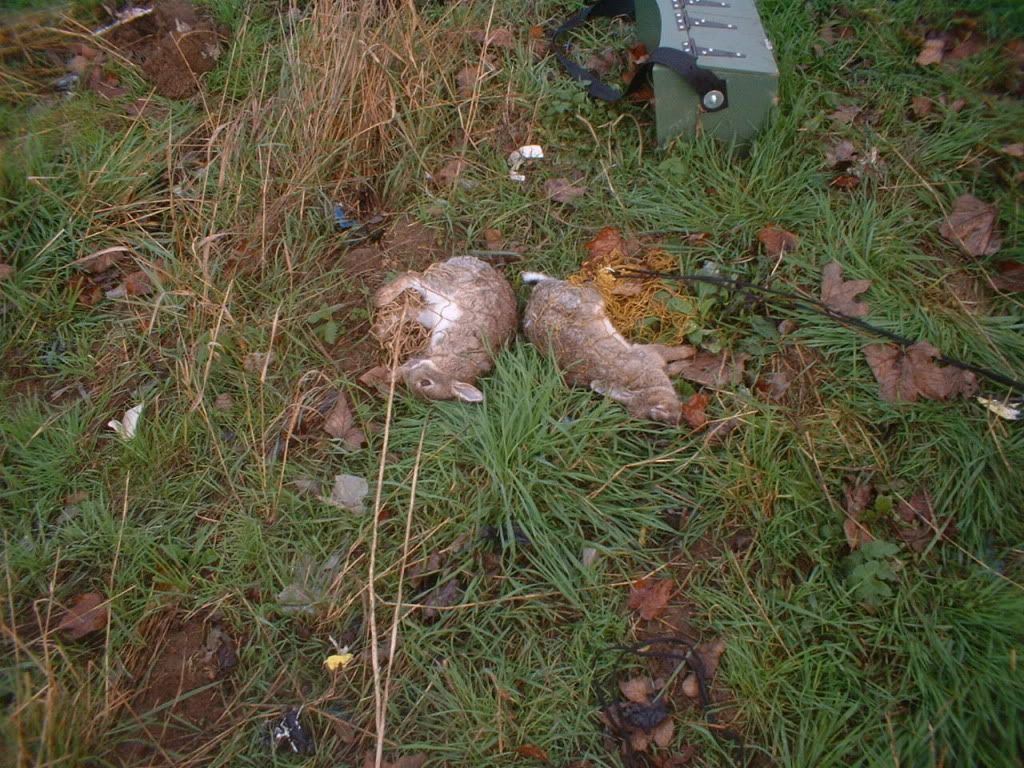 Picture067.jpg
