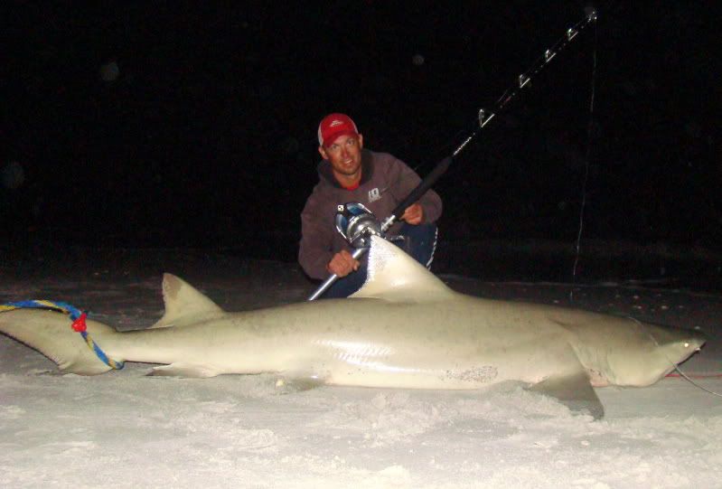 South Florida Shark Fishing