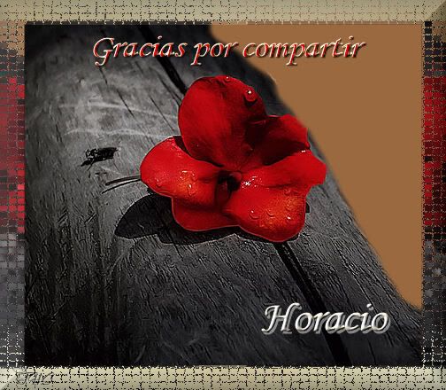 graciasxcompartir11.jpg picture by HORACIO49