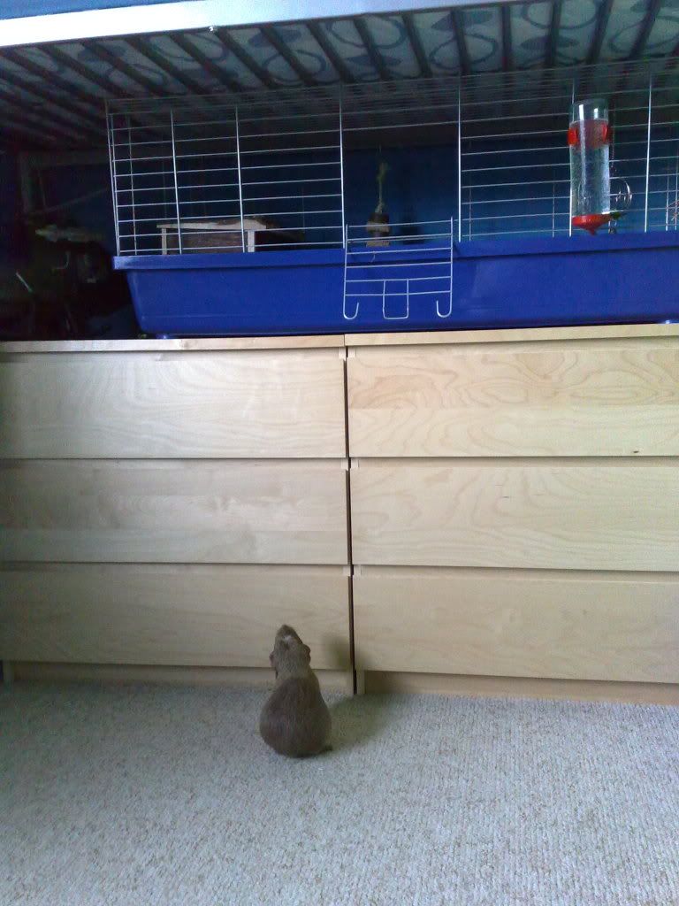 090620102978.jpg